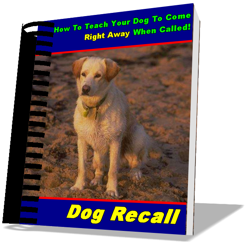 Cover Factory Example Image